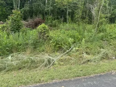 tbd Whispering Pines Rd, Max Meadows, VA 24360