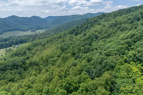 72 Acres Trot Valley Rd, Stuart, VA 24171 photo 5