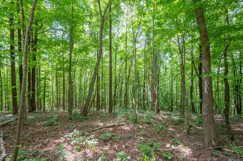 72 Acres Trot Valley Rd, Stuart, VA 24171 photo 24