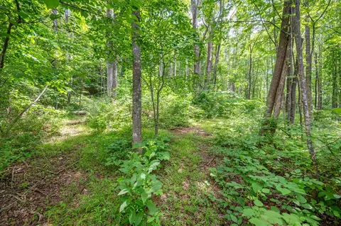 72 Acres Trot Valley Rd, Stuart, VA 24171 photo 20