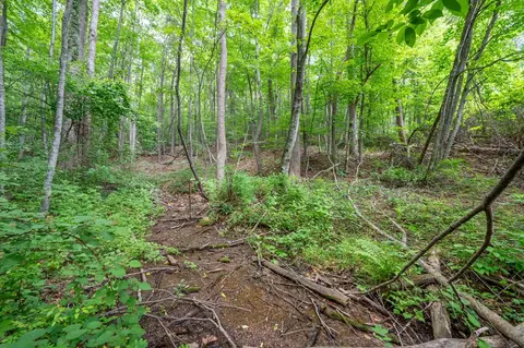 72 Acres Trot Valley Rd, Stuart, VA 24171 photo 33