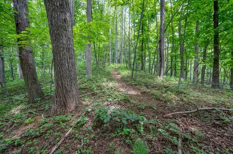 72 Acres Trot Valley Rd, Stuart, VA 24171 photo 28