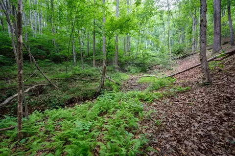 72 Acres Trot Valley Rd, Stuart, VA 24171 photo 34