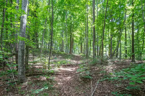 72 Acres Trot Valley Rd, Stuart, VA 24171 photo 23