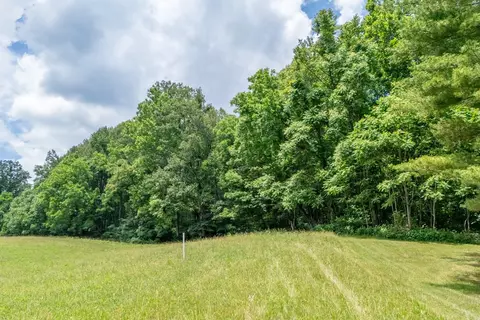 72 Acres Trot Valley Rd, Stuart, VA 24171 photo 13