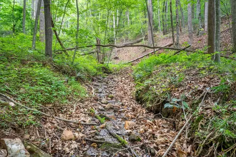 72 Acres Trot Valley Rd, Stuart, VA 24171 photo 30