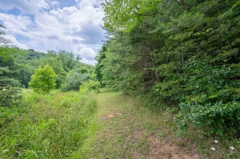 72 Acres Trot Valley Rd, Stuart, VA 24171 photo 17