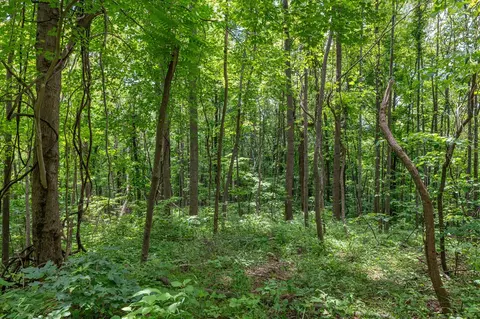 72 Acres Trot Valley Rd, Stuart, VA 24171 photo 29