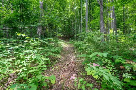 72 Acres Trot Valley Rd, Stuart, VA 24171 photo 22