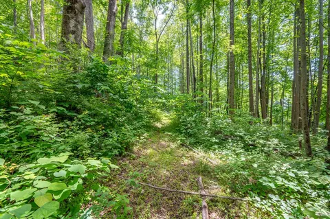 72 Acres Trot Valley Rd, Stuart, VA 24171 photo 21