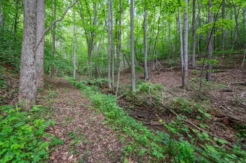 72 Acres Trot Valley Rd, Stuart, VA 24171 photo 35