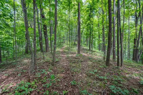 72 Acres Trot Valley Rd, Stuart, VA 24171 photo 27