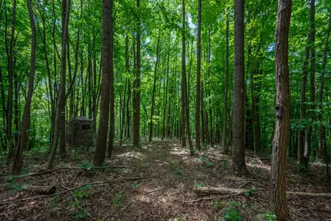 72 Acres Trot Valley Rd, Stuart, VA 24171 photo 38