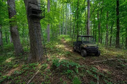 72 Acres Trot Valley Rd, Stuart, VA 24171 photo 37