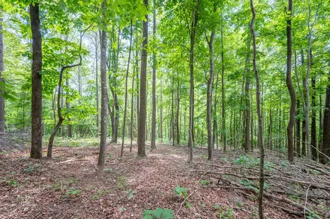 72 Acres Trot Valley Rd, Stuart, VA 24171 photo 25