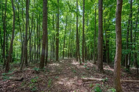 72 Acres Trot Valley Rd, Stuart, VA 24171 photo 26