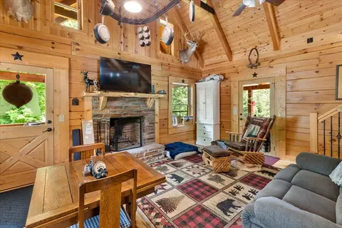 Living - 420 Riverview Rd, Ivanhoe, VA 24350 photo 3 of 3