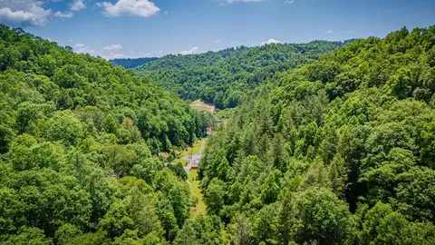 View/Area - 8775 Sandlick Rd, Bee, VA 24217 photo 4 of 5