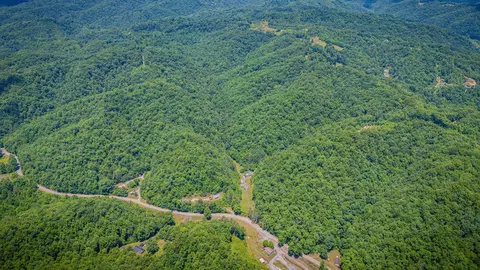 View/Area - 8775 Sandlick Rd, Bee, VA 24217 photo 5 of 5
