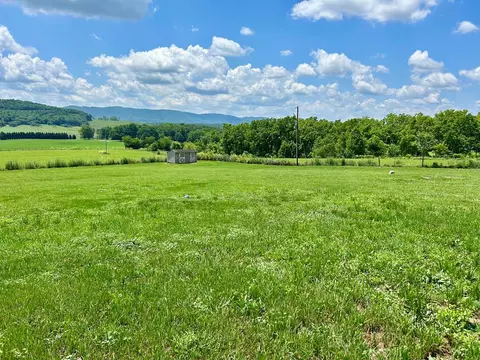 3206 Major Grahams Rd, Max Meadows, VA 24360 photo 46