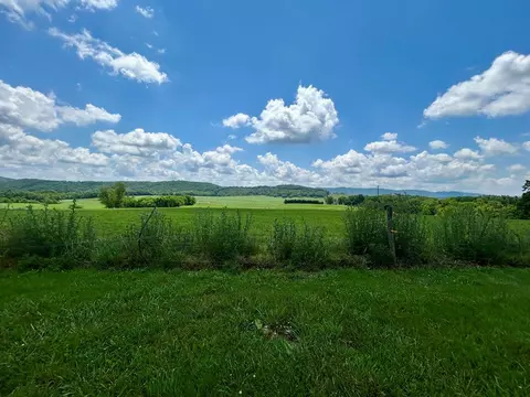 3206 Major Grahams Rd, Max Meadows, VA 24360 photo 14
