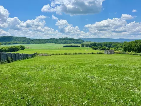 3206 Major Grahams Rd, Max Meadows, VA 24360 photo 45