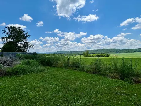 3206 Major Grahams Rd, Max Meadows, VA 24360 photo 13