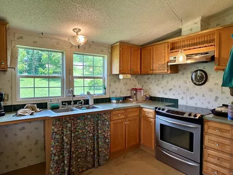 3206 Major Grahams Rd, Max Meadows, VA 24360 photo 36