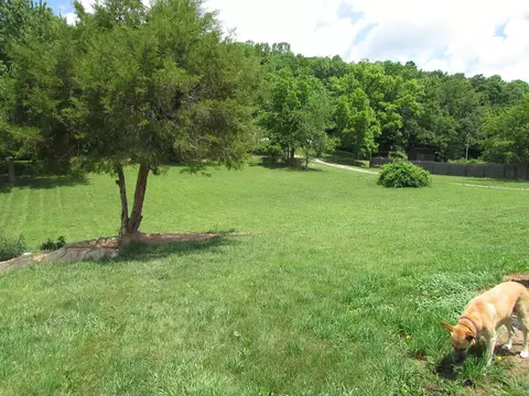 3206 Major Grahams Rd, Max Meadows, VA 24360 photo 11