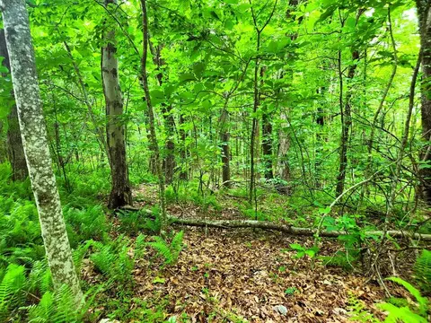 tbd Glennburn Ln, Vesta, VA 24177