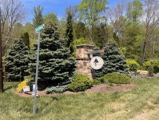 lot12 Cove Crk, Bastian, VA 24314