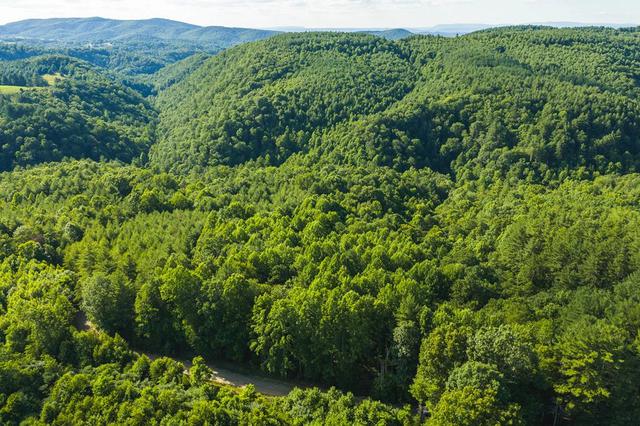 tbd Sawmill Hill Rd, Willis, VA 24380