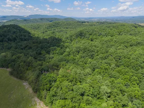 tbd Locust Hill Rd, Max Meadows, VA 24360 photo 13