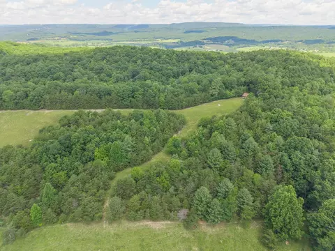 tbd Locust Hill Rd, Max Meadows, VA 24360 photo 7