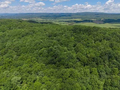 tbd Locust Hill Rd, Max Meadows, VA 24360 photo 12