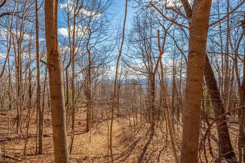 lot124 Spring Pond Trl, Fancy Gap, VA 24328