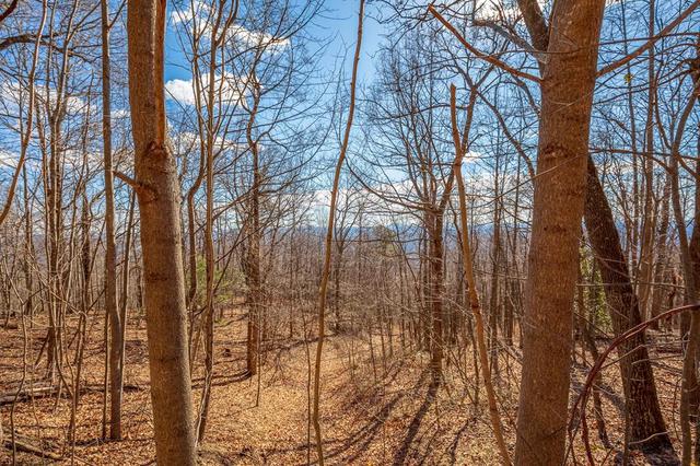 lot124 Spring Pond Trl, Fancy Gap, VA 24328