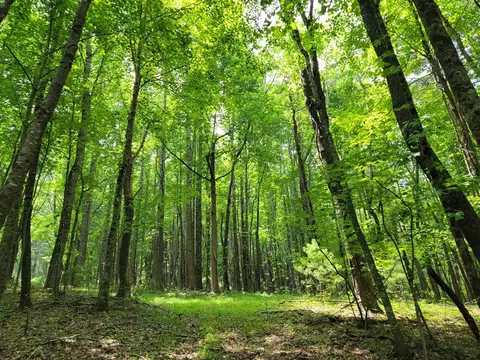 tbd Old Colonial Rd, Fries, VA 24330