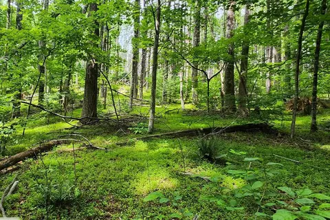 lot45 Southern View Trl, Fancy Gap, VA 24328