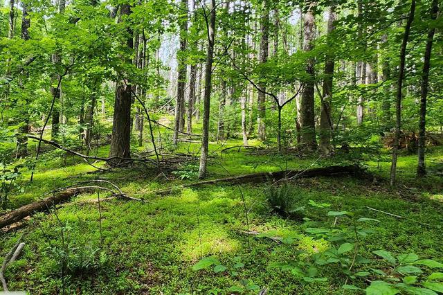 lot45 Southern View Trl, Fancy Gap, VA 24328