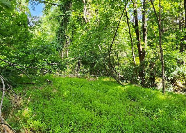 lot65 Southern View Trl, Fancy Gap, VA 24328