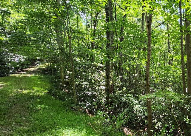 lot16 Misty Dawn Trl, Fancy Gap, VA 24328