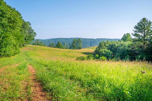 000 Fairhaven Dr, Dugspur, VA 24325