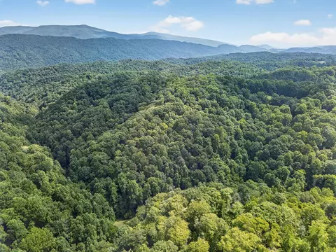 tbd Earth Rd, Meadowview, VA 24361 photo 3