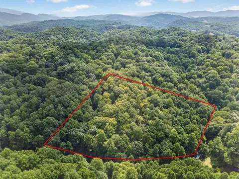 tbd Earth Rd, Meadowview, VA 24361 photo 9