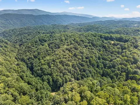 tbd Earth Rd, Meadowview, VA 24361 photo 4