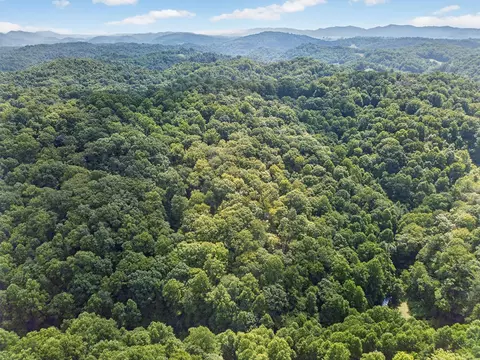 tbd Earth Rd, Meadowview, VA 24361 photo 6