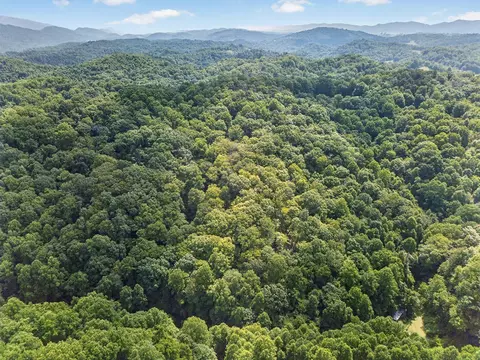 tbd Earth Rd, Meadowview, VA 24361 photo 2