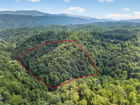 tbd Earth Rd, Meadowview, VA 24361 photo 1