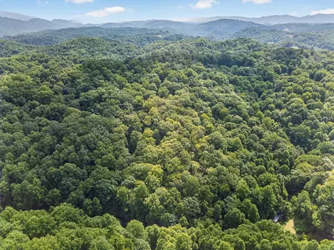 tbd Earth Rd, Meadowview, VA 24361 photo 5